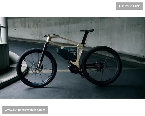 FRW辐轮王凭手工工艺蝉联高端自行车榜首被誉为单车界布加迪之最